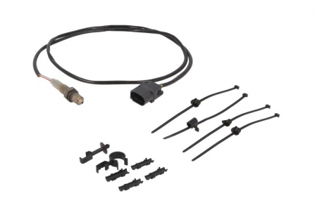 Sonda lambda - Sonda lambda (numar fire 5, 1500mm) potrivit AUDI A3, A4 B5, A4 B6, A4 B7, A6 C5, A8 D3, TT; BENTLEY CONTINENTAL, CONTINENTAL FLYING SPUR; SEAT EXEO, EXEO ST, IBIZA III 1.4-6.0 11.94-12.17
