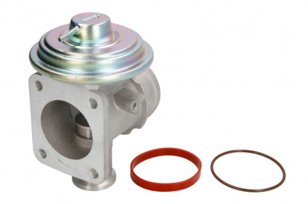 EGR - Supapa EGR BMW Seria 3 (E46), 5 (E39), 7 (E38), 7 (E65, E66, E67), X5 (E53) 2.0D-3.9D intre 1996-2007
