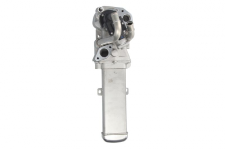 Supapa EGR (cu radiator) potrivit VW BEETLE, GOLF VI, JETTA III, JETTA IV, PASSAT B6 2.0D 08.05-12.17 [1]