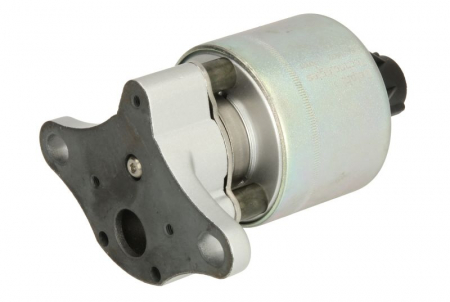 Supapa EGR - Supapa EGR potrivit CHEVROLET AVEO / KALOS, CRUZE, EPICA, LACETTI, NUBIRA; DAEWOO LACETTI 1.4-2.5 02.04-