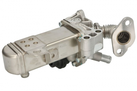 Supapa EGR potrivit NISSAN CABSTAR, NAVARA NP300, NT400 CABSTAR, PATHFINDER III 2.5D/3.0D 01.05- [1]