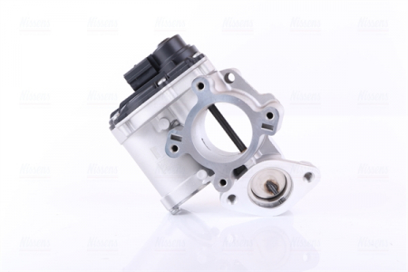 Supapa EGR potrivit NISSAN PRIMASTAR, QASHQAI I, X-TRAIL, X-TRAIL II; OPEL VIVARO A; RENAULT ESPACE IV, GRAND SCENIC II, KOLEOS I, LAGUNA, LAGUNA II, LAGUNA III, MASTER III, MEGANE II 2.0D/2.3D 08.05- [4]