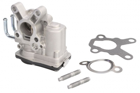 Supapa EGR potrivit RVI MASCOTT, MAXITY; NISSAN CABSTAR, NT400 CABSTAR, PATROL GR V; RENAULT MASTER PRO 2.5D/3.0D 05.00- [1]