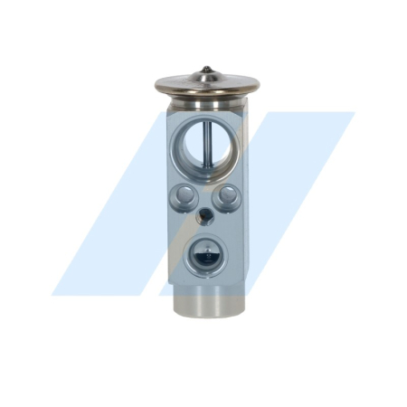 Supapa expansiune clima potrivit DAF CF 75, CF 85, XF 105, XF 95; MAN TGA, TGL I, TGM I, TGS I, TGX I D0834LFL40-XF355M dupa 2000 [1]