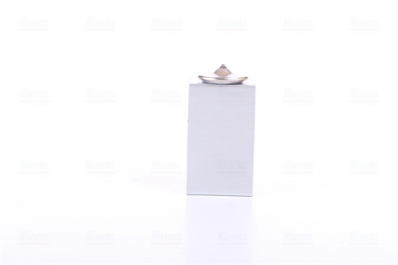 Piese Auto - Supapa expansiune climatizare potrivit CITROEN C2, C3 I, C3 PLURIEL; FIAT PUNTO, PUNTO/HATCHBACK; FORD GALAXY II, MONDEO III, S-MAX; PEUGEOT 1007 1.1-3.0 09.99-