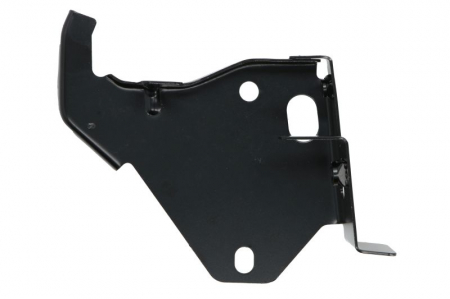 Suport dreapta (otel) potrivit DS DS4; CITROEN C4 I; PEUGEOT 308 I 09.07-11.15 [0]