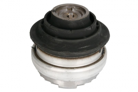 Suport motor fata dreapta (Hidraulic) MERCEDES C T-MODEL (S202), C (W202), CLK (A208), CLK (C208), E T-MODEL (S210), E (VF210), E (W210), SLK (R170) 2.0-5.4 intre 1993-2003