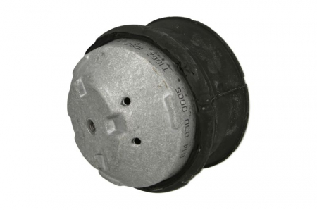 Suport motor fata (Hidraulic) MERCEDES C (CL203), C T-MODEL (S202), C T-MODEL (S203), C (W202), C (W203), CLC (CL203), E T-MODEL (S210), E (VF210), E (W210) 2.0-2.9D intre 1995-2011 [1]