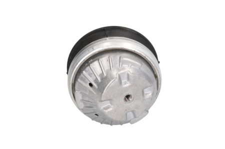 Suport motor fata (Hidraulic) MERCEDES E T-MODEL (S210), E (VF210), E (W210) 2.4-5.4 intre 1996-2003 [1]
