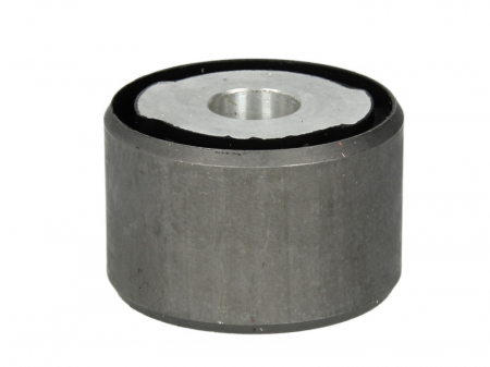 Diferential - Suport suspensie spate (spate) MERCEDES CABRIOLET (A124), COUPE (C124), E T-MODEL (S124), KOMBI T-MODEL (S124), SEDAN (W124) 2.0-3.0D intre 1984-1996