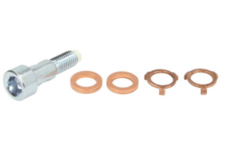 Turbocompresor - Surub cap tubular turbina (M10x1,5 orificiu) potrivit DS DS 3, DS 4, DS 5; CITROEN BERLINGO, BERLINGO MULTISPACE, BERLINGO/MINIVAN, C3 I, C3 II, C3 PICASSO, C4 GRAND PICASSO I 1.4D/1.5D/1.6D 02.02-