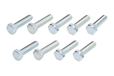 Set montaj esapament - Surub sistem esapament (M8x35), 10 buc.