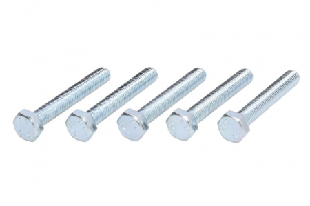 Set montaj esapament - Surub sistem esapament (M8x55), 10 buc. potrivit BMW 3 (E36); SEAT LEON; SUBARU FORESTER; VW GOLF IV 1.4/1.6/2.0 1991-2008