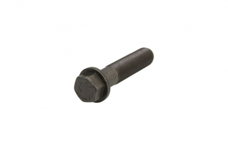 Elemente ambreiaj - Surub volanta M16x1,5mm/73-86mm potrivit MAN F2000, F9, F90, F90 UNTERFLUR, HOCL, M90, SD, SL II, SÜ, TGM I, TGX I, ÜL; NEOPLAN MEGASHUTTLE, TRANSLINER D0836LFL68-D2876LF17
