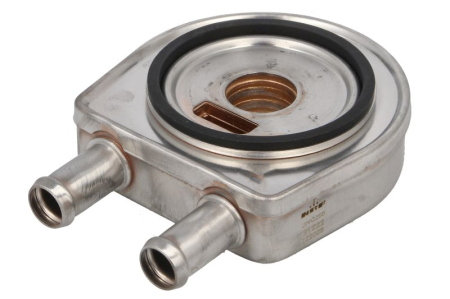 Radiator ulei - Termoflot (cu elemente potrivite usor) potrivit RENAULT 19 I, 19 I CHAMADE, 19 II, 19 II CHAMADE, 21, CLIO I, KANGOO, KANGOO EXPRESS, MEGANE I, MEGANE I CLASSIC 1.2-2.0 03.86-