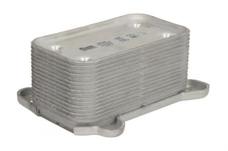 Piese Auto - Termoflot radiator ulei (142,7x80,5x68) MERCEDES E (W211), G (W463), M (W163), S (W220) 4.0D dupa 2000