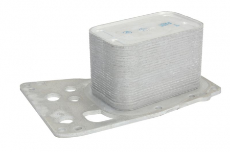 Termoflot radiator ulei (165x140x240) BMW Seria 3 (F30, F80), 3 (F31), 3 GRAN TURISMO (F34), 4 (F32, F82), 4 (F33, F83), 4 GRAN COUPE (F36), 5 (F10), 5 (F11), 5 GRAN TURISMO (F07), 6 (F12), 6 (F13) 3.