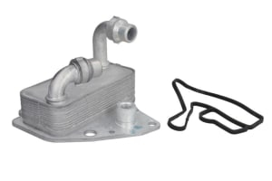 Termoflot radiator ulei potrivit ALFA ROMEO MITO; FIAT BRAVO II, DOBLO, DOBLO CARGO, GRANDE PUNTO, LINEA, PUNTO EVO; LANCIA DELTA III; OPEL COMBO TOUR, COMBO/MINIVAN 1.6D 09.07- [0]