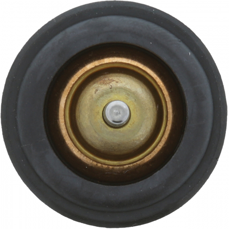 Termostat lichid racire (105°C) potrivit AUDI A1, A3, A4 B9, A5, Q3; SEAT ALHAMBRA, ATECA, IBIZA IV, IBIZA IV SC, IBIZA IV ST, IBIZA V, LEON, LEON SC, LEON ST, LEON ST/KOMBI, MII 1.0-1.6 05.08- [1]