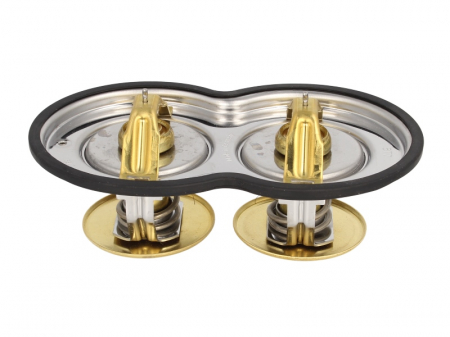 Termostat - Termostat lichid racire (8; 80°C/80°C, cu garnitura) potrivit SCANIA 4, 4 BUS, G I, K, N BUS, P I, R I, T DC09.110-DT16.08 05.95-