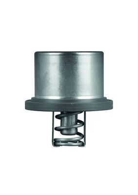 Termostat lichid racire (89°C) potrivit PORSCHE CAYENNE 3.6/4.8 02.07-09.10 [1]