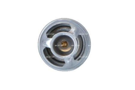Termostat - Termostat lichid racire (89°C) potrivit RENAULT 12, 19 I, 19 I CHAMADE, 19 II CHAMADE, 21, CLIO I, CLIO I/HATCHBACK, ESPACE II, RAPID/MINIVAN, TWINGO I 1.1-2.2 07.75-09.98