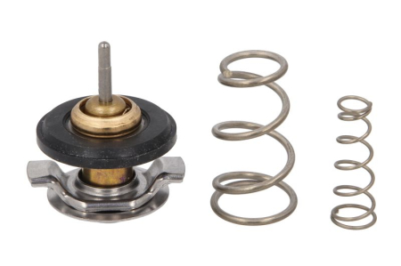 Termostat - Termostat sistem racire potrivit LAND ROVER DISCOVERY III, RANGE ROVER III, RANGE ROVER SPORT I 4.2/4.4 2004-2013 (88°C)