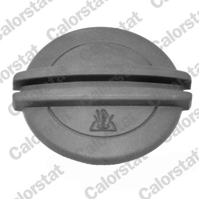 Vas expansiune racire potrivit AUDI A3, Q3, TT; SEAT ALHAMBRA, ALTEA, ALTEA XL, LEON, TOLEDO III; SKODA OCTAVIA II, RAPID, SUPERB I, SUPERB II, YETI 2003-2022 (cu mufa, cu senzor nivel) [2]