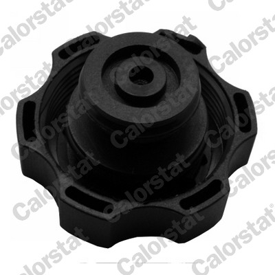 Vas expansiune lichid racire potrivit CHEVROLET TRAX; OPEL MOKKA / MOKKA X dupa 2012 (cu conector) [1]