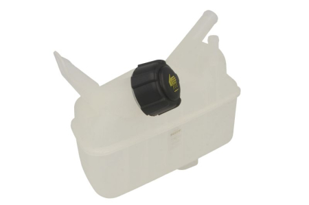 Vas expansiune - Vas expansiune lichid racire potrivit RENAULT GRAND SCENIC II, MEGANE II, MEGANE II/KOMBI, SCENIC II dupa 2002