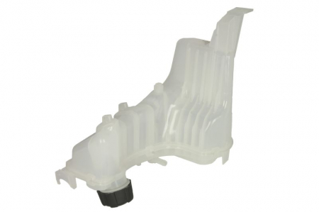 Vas expansiune potrivit RENAULT LAGUNA, LAGUNA III, LATITUDE 10.07- [1]