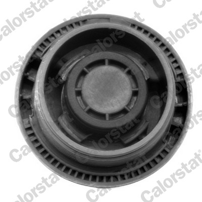 Vas expansiune racire potrivit AUDI A3, TT; SEAT CORDOBA, IBIZA II, LEON, TOLEDO II; VW BORA, BORA I, GOLF IV, NEW BEETLE, POLO, POLO III, POLO III CLASSIC 1995-2013 (cu mufa, cu senzor nivel) [1]