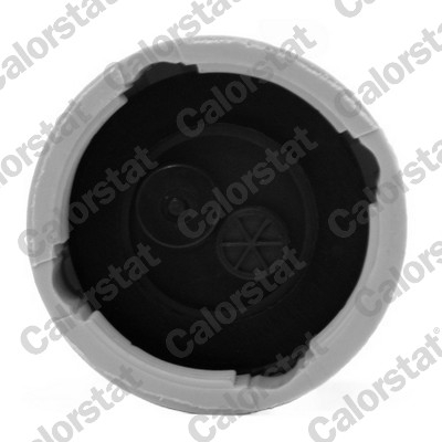 Vas expansiune racire (cu priza) potrivit CHEVROLET LACETTI; DAEWOO LACETTI 02.04- [2]