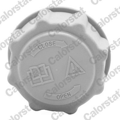 Vas expansiune racire (cu priza) potrivit CHEVROLET LACETTI; DAEWOO LACETTI 02.04- [1]