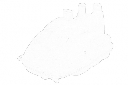 Vas expansiune racire potrivit AUDI A8 D3 10.02-07.10 [1]