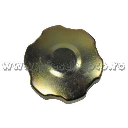 Diverse - Buson rezervor metalic Renault 79 20 001 773 7920001773 VPD4564