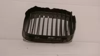 Grila bara dreapta pentru BMW Seria 5 E39, cod 2494066 , 7005838 [2]