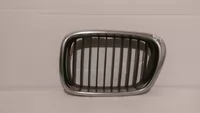 Grila bara stanga pentru BMW Seria 5 E39, cod 2494065 , 7005837 [1]