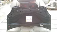 Capota fata pentru Lancia Musa [2]