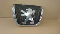Elemente de caroserie - Grila bara pentru Peugeot 607 , cod 9638055177