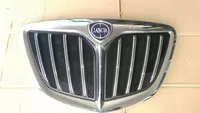 Alte accesorii de interior - Grila fata pentru Lancia Musa , cod 51810093