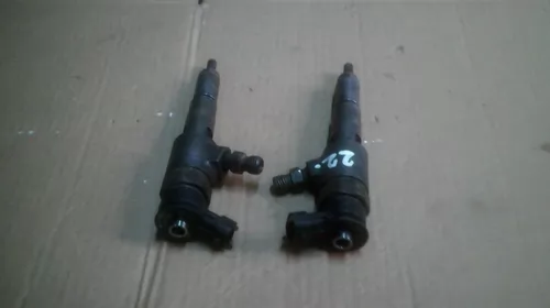 Injector pentru Citroen C4 I, cod 0445110252 [1]