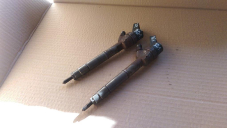 Injectie - Injector Mercedes A-Class, W168, motor 1.7 Cdi, cod A6680701287, 0445110196, an 1998-2004