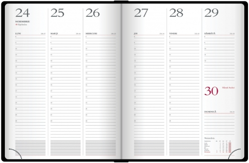 Agenda datata, RO A5, Premium Deluxe Narni [6]