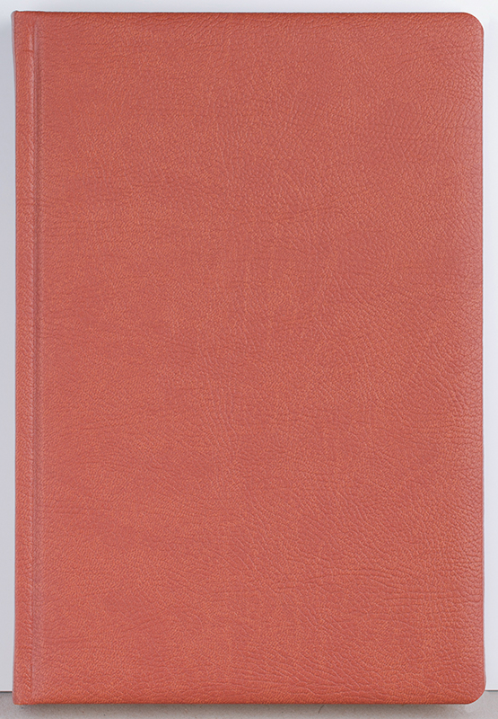 Agenda datata zilnic Office [2]