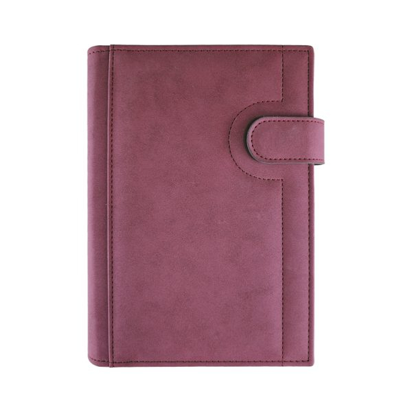 Agenda de lux datata zilnic Nisa R460, 15 x 21 cm [3]