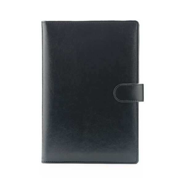 Agenda de lux datata zilnic Sandra, R460, 15 x 21 cm [3]