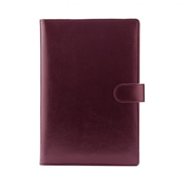 Agenda de lux datata zilnic Sandra, R460, 15 x 21 cm [4]
