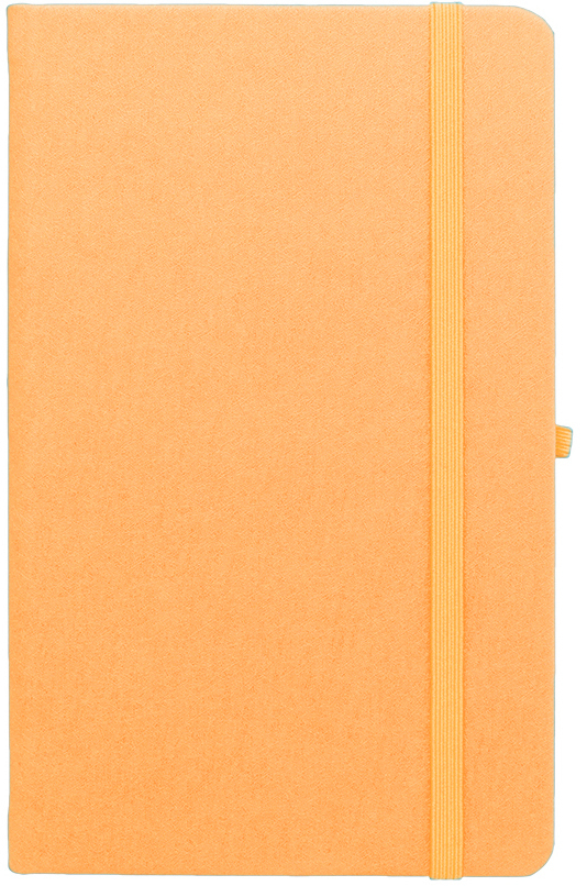 Agenda nedatata Notebook Pro 16,5x21cm [6]