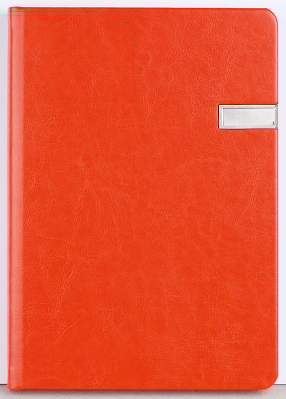 Agenda nedatata Notebook USB [4]